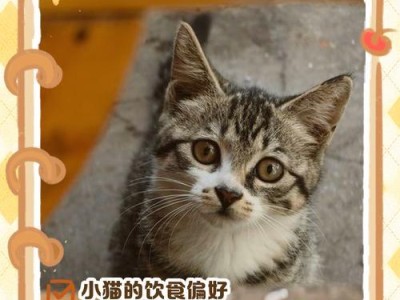 猫咪怀孕了吃什么比较好？（营养食物推荐，宝宝健康成长）