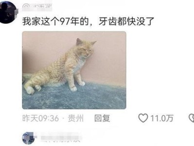 探秘六种长寿猫，看看你家的上榜了没（了解这些猫咪，让你的爱宠长寿健康）