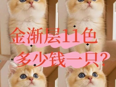 三种颜色的猫一定是母猫吗？（探讨三种颜色猫性别的可能性与限制）