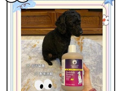 泰迪狗宝宝出生后适合洗澡的时间及注意事项（宝宝狗狗洗澡时间不宜过早，需注意保暖和温度）