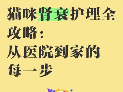 猫咪补液的重要性与正确方法（保持宠物猫咪健康的必备知识）