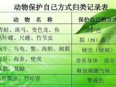 西里汉梗的饲养方法（养一只健康、快乐的西里汉梗，从这里开始）