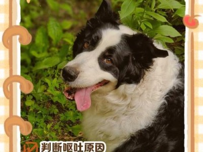 狗食呕吐问题解析（狗食呕吐的原因及治疗方法）