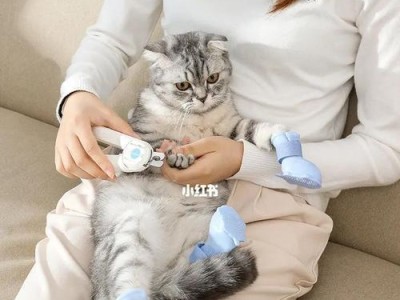 猫的驯养之谜（解密猫咪与人类相处的秘密，探究驯养猫的困难源头）