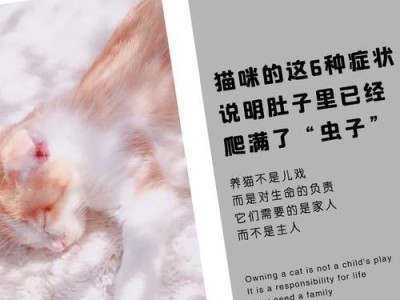 猫咪叫春的解决方法——药物调节（保护猫咪健康，舒缓繁殖期不适）