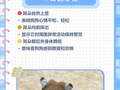 小狗立耳需要多久？（了解小狗立耳的成长过程和时间需求）