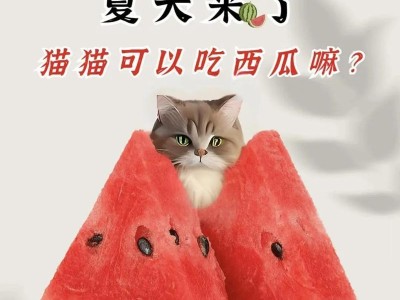 猫咪的最爱——五种食物（了解你的猫咪的味蕾喜好）
