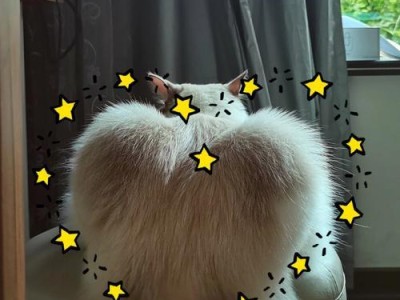 探索健康猫屁股的秘密（了解猫屁股的特征和保健方法）