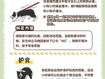 如何驯服小狗狗（掌握正确方法，让小狗狗听话友善）