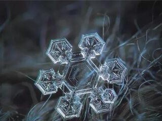 雪花美丽如诗——探寻喜爱雪花主题的原因（迷人而独特的自然之美，为何让人心驰神往）