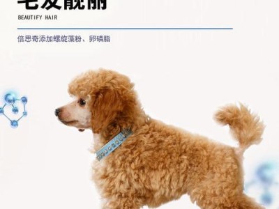 贵宾犬如何食物美毛（全面解析贵宾犬美毛食物，让你的宠物皮毛更亮丽）