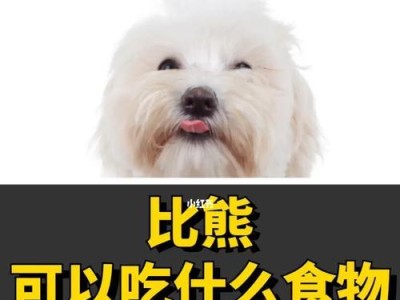 十几天的小狗如何科学饮食？（小狗吃什么好？喂养小狗的正确方法及注意事项）