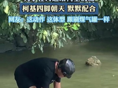 小柯基洗澡频率揭秘（小柯基洗澡周期及注意事项）