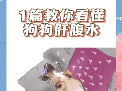 狗腹水的洗澡频率及注意事项（狗腹水洗澡的关键因素及正确方法）