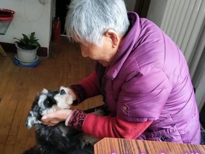 狗狗为何对着老人叫？（探究狗狗对老人叫的原因及其重要性）