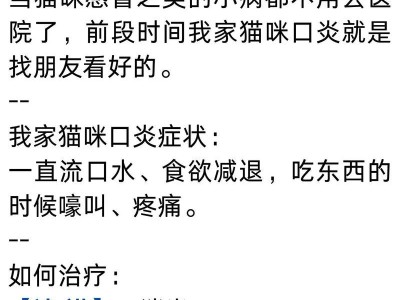 揭秘猫咪口炎（为什么猫咪容易得口炎？如何帮助猫咪预防口炎？）