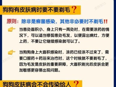 狗狗牙病的治疗方法（探究口腔疾病如何干扰宠物健康）