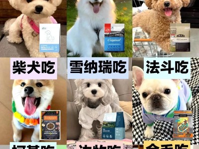 如何确定狗狗适量的饮食？（了解狗粮的适量摄入及相关注意事项）