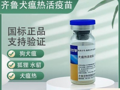 狗瘟带来的生命倒计时（探讨狗瘟病毒对犬只寿命的影响与应对策略）