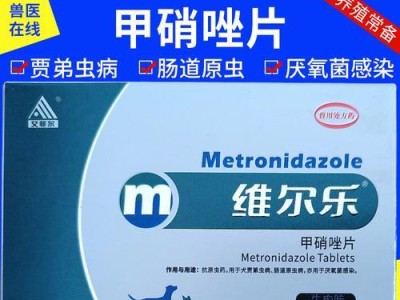 小狗生病，如何选择合适的消炎药物？（选择适合小狗的消炎药，保护它们的健康）