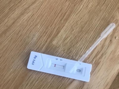 体外驱虫（全方位保护宠物免受寄生虫侵害）