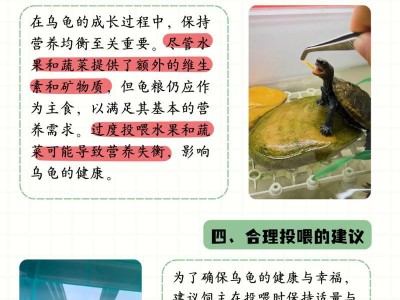 草龟的饮食对生长速度的影响（探索草龟的快速生长秘诀，以及饮食的重要性）
