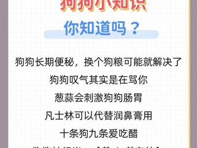 金毛犬——优雅与纯真的宠物伴侣（纯种金毛价格与特征解析，了解你的理想伙伴）