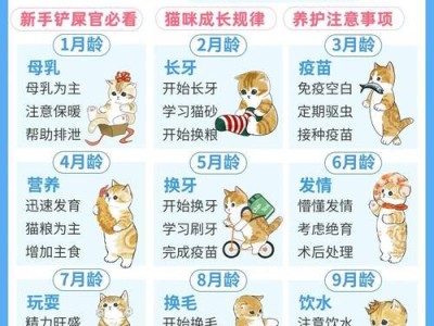 如何帮助小猫快速适应新家？（小猫适应环境的关键是什么？）