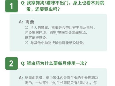 比熊狗狗滴福来恩的管教时间（掌握关键时期，打造乖巧可爱的比熊伙伴）