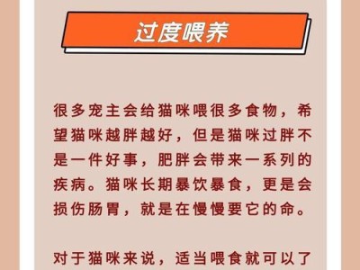 养幼猫，何时可以给它洗澡？（探索适宜的幼猫洗澡时间及注意事项）