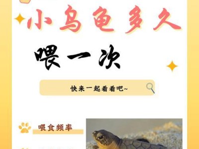 以巴乌龟的快速生长之道（以巴乌龟的饮食和环境对生长的影响）