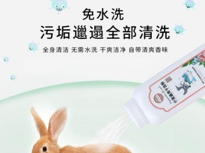 小白兔（可爱的小白兔以其独特的方式清洁你的家）