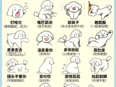 比熊的足掌保护（为你的比熊提供舒适的脚部保护）