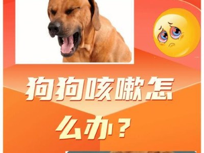 为何狗狗打了针咳嗽仍未好转？（探究狗狗咳嗽的原因及治疗方法）