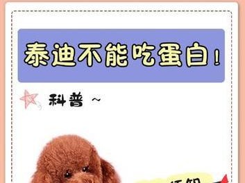 贵宾犬喂养的5大要点（了解贵宾犬特点，科学喂养宠物犬）