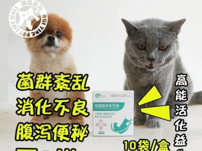 小猫运动助消化，床上助消化运动指南（宠物健康关注，助力小猫消化道）